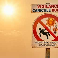 🚨Vigilance rouge : canicule extrême 🚨